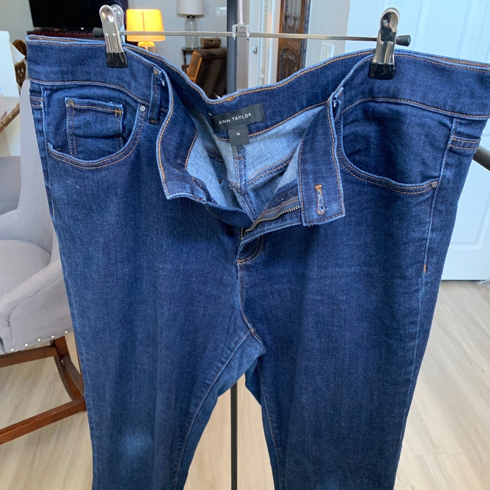 Ann Taylor Skinny Jeans